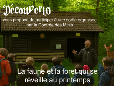 La faune et la forêt qui se réveille