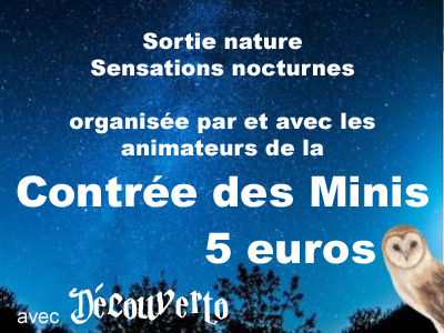 Sortie nature : sensations nocturnes