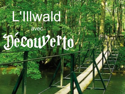 L'Illwald