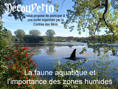 La faune aquatique et l'importance des zones humides