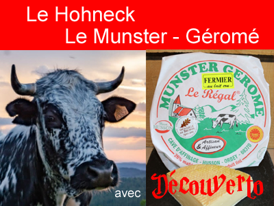 Source de la moselotte - Hohneck / Munster-Géromé