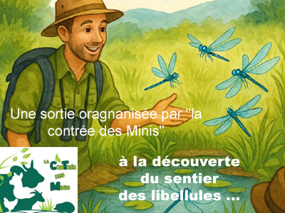 Promenade naturaliste avec un guide de la Contrée des Minis