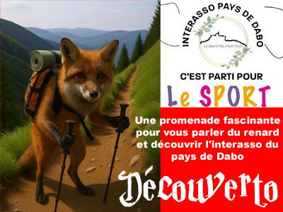Journée inter association du Pays de Dabo