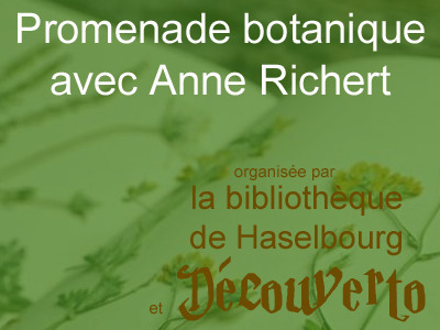 Promenade botanique avec Anne Richert