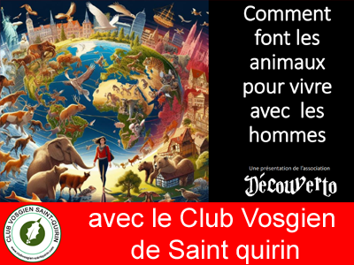 Sortie avec le Club Vosgien de Saint Quirin
