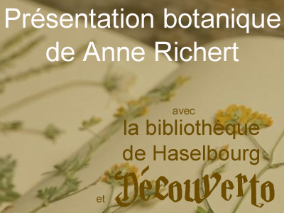 Botanique en salle avec Anne Richert