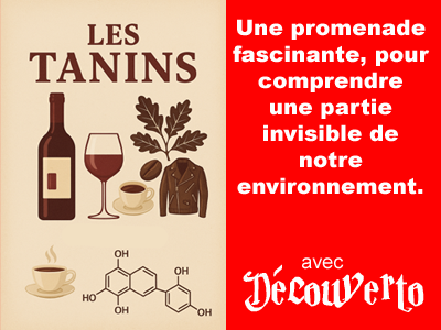 Comprendre le monde des tanins