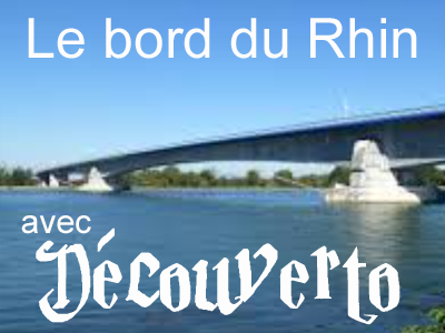 Le bord du Rhin