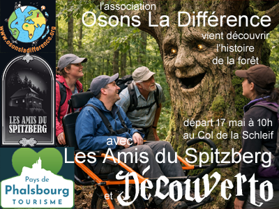 Sortie avec Osons la différence pour parler de la forêt